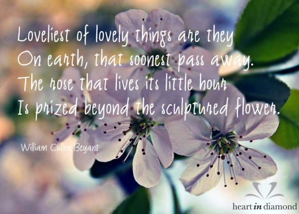 Heart In Diamond - Quote of the week