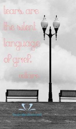 quote-voltaire