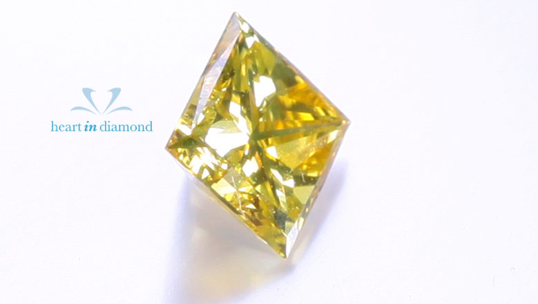 Client’s Testimonial