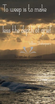 To weep is to make less the depth of grief quote, on the background the sea and sunset