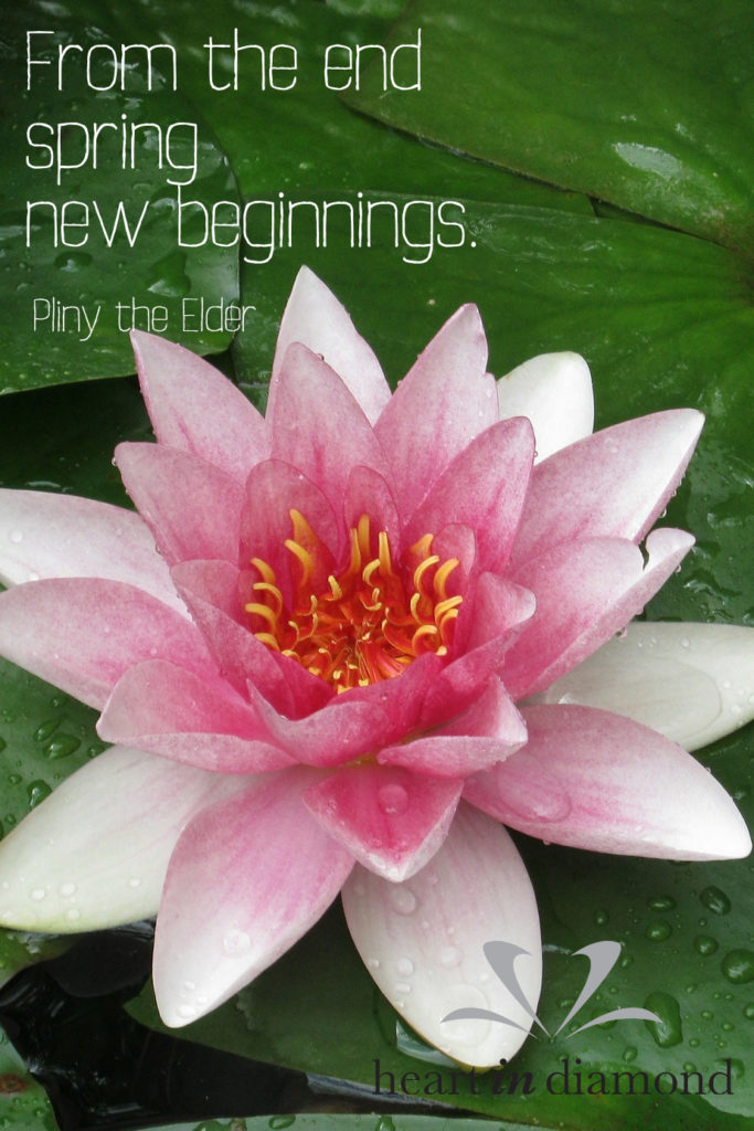 Quote of the week