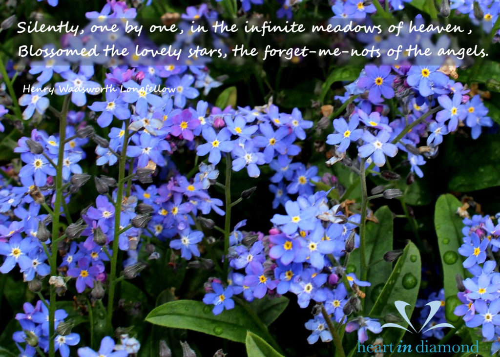 quote-longfellow