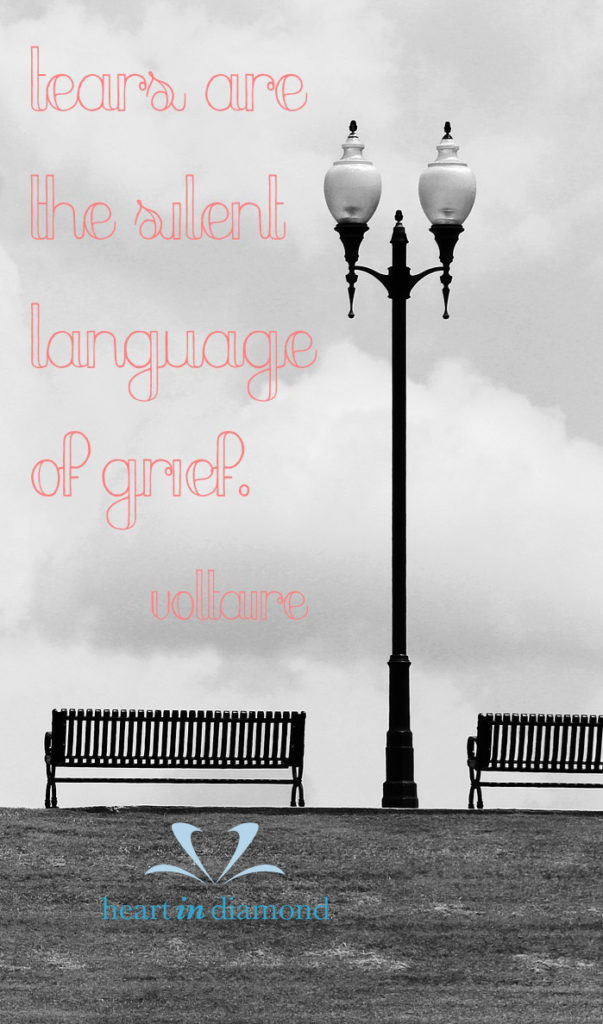 quote-voltaire