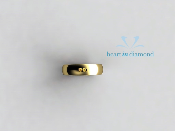 ring neil mini